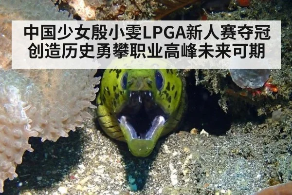 中国少女殷小雯LPGA新人赛夺冠创造历史勇攀职业高峰未来可期